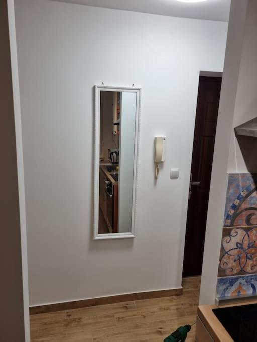 Studio Apartman Bojana 34M2,Free Wifi,Parking Sisak Exterior photo