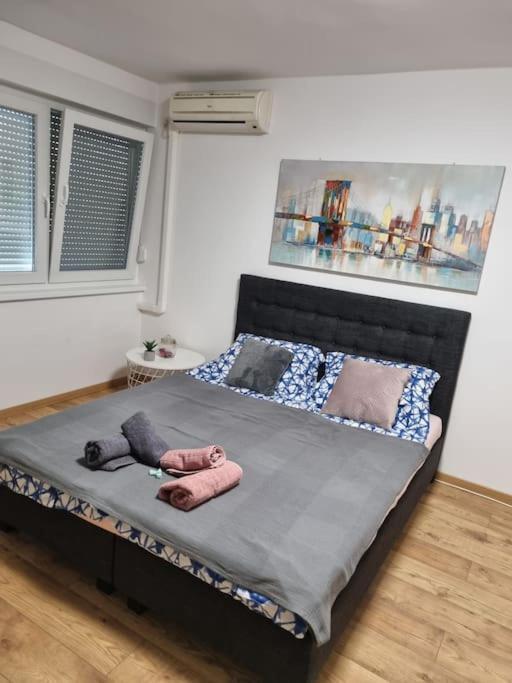 Studio Apartman Bojana 34M2,Free Wifi,Parking Sisak Exterior photo