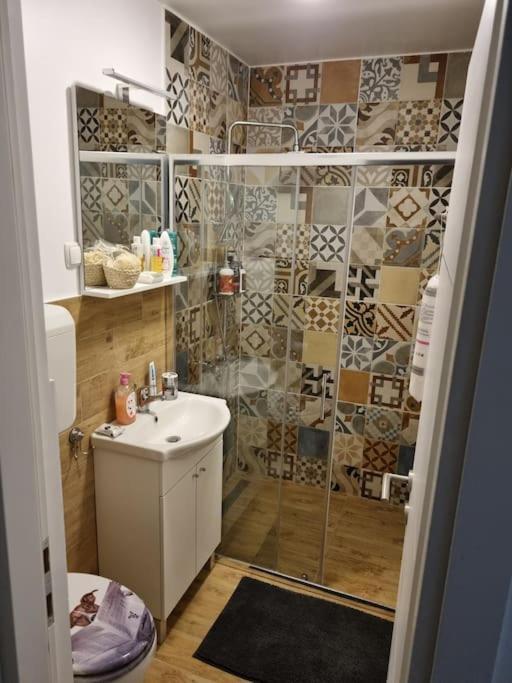 Studio Apartman Bojana 34M2,Free Wifi,Parking Sisak Exterior photo
